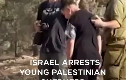 Thumbnail preview image for the video titled: Israeli forces arresting a 14-year-old Palestinian shepherd  and two foreign activists from Hebron