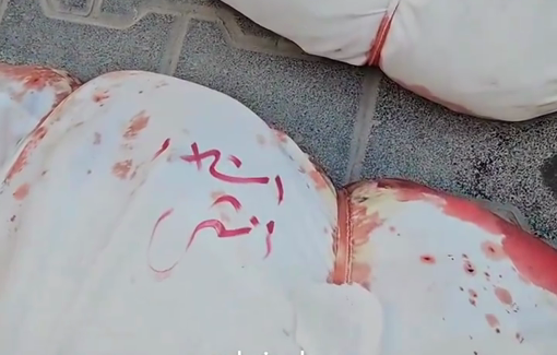 Thumbnail preview image for the video titled: Bodies of a male and a female cut to pieces in Israeli school massacre