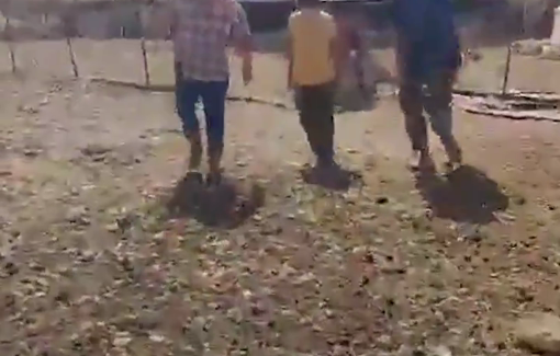 Thumbnail preview image for the video titled: In Ras al-Ain, Israeli settlers and soldiers fired weapons, stole livestock, and carried out arbitrary arrests