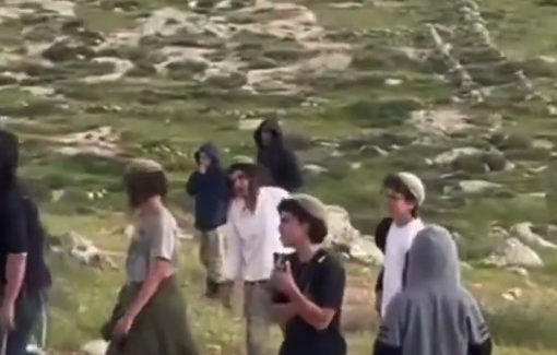 Thumbnail preview image for the video titled: Israeli extremists settlers attacked shepherds Massafer Yatta