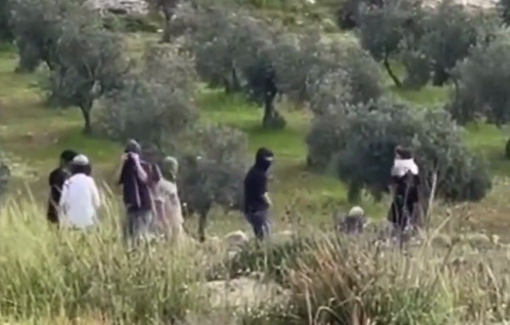 Thumbnail preview image for the video titled: Several shepherds has been chased by settlers in Massafer Yatta