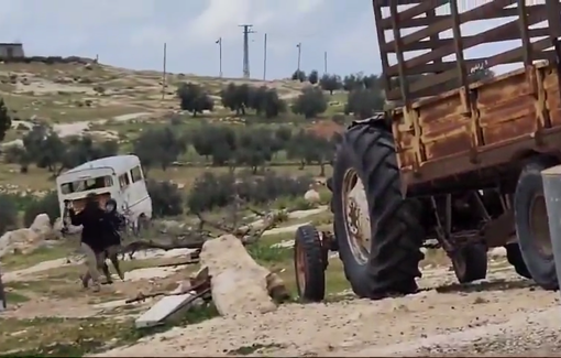 Thumbnail preview image for the video titled: Israeli settlers attacked & stoned Palestinian houses and livestock in Khirbet Susya, West Bank