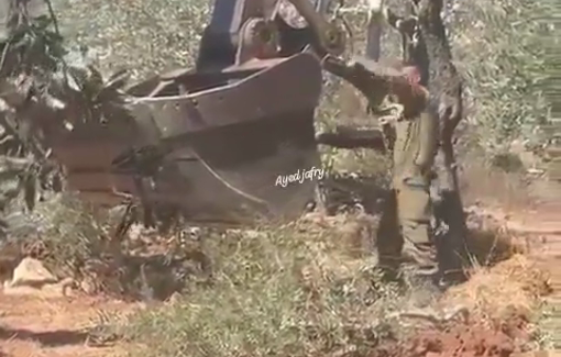 Thumbnail preview image for the video titled: The Israeli army has uprooted century-old olive trees belonging to residents of the Sinjil village