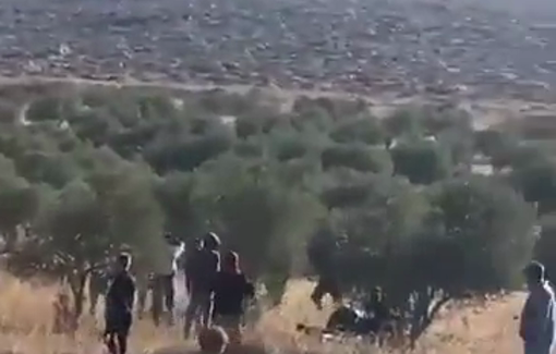 Thumbnail preview image for the video titled: Settler militias assault farmers during olive harvesting in Turmus Ayya, north of Ramallah