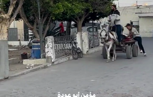 Thumbnail preview image for the video titled: Casualties brought to hospital on donkey cart as ambulances ran out of fuel