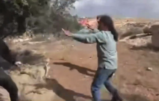 Thumbnail preview image for the video titled: Israeli soldiers watch and protect the settlers and facilitate the attacks on famer and activist in Susiya