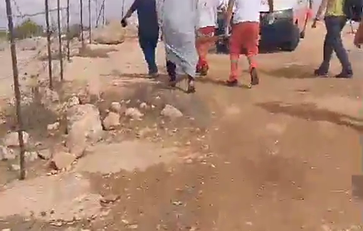 Thumbnail preview image for the video titled: A female foreign activist has been injured following an attack by Israeli settlers on olive harvesters iSusiya