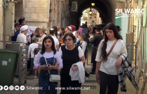 Thumbnail preview image for the video titled: Settlers spread out in the al-Silsileh Gate area in Jersulem