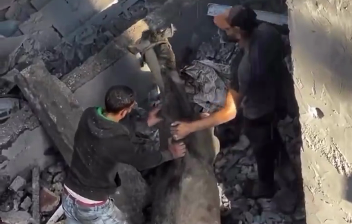 Thumbnail preview image for the video titled: Rescue of horse trapped in the rubble of a home bombed Israel