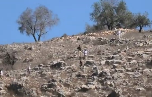 Thumbnail preview image for the video titled: In Burin violent settlers harassed the farmers during olive harvest