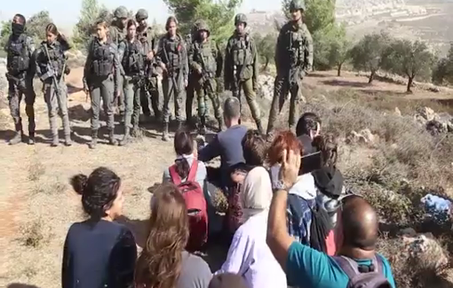 Thumbnail preview image for the video titled: Israeli soldiers throw stun grenades directly at activists protecting Palestinians harvesting their olives