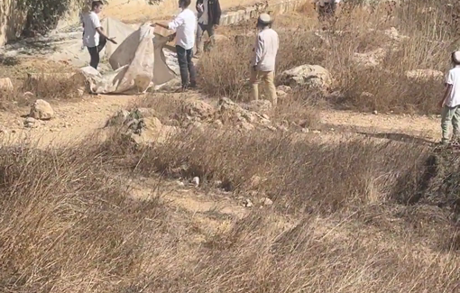 Thumbnail preview image for the video titled: Israeli Jewish settlers stole the olives & sheets which a Palestinian family uses to pick the olive in Hebron