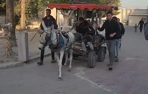 Thumbnail preview image for the video titled: Murdered young men taken to hospital on a donkey cart