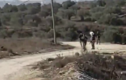 Thumbnail preview image for the video titled: Isreli settlers steal the Palestinian olive harvest