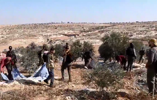 Thumbnail preview image for the video titled: IDF and Police officier disturb olive harvest in Am Nir near Susya