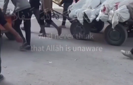 Thumbnail preview image for the video titled: Dozens of martyrs loaded on carts as Israel destroyed ambulance services