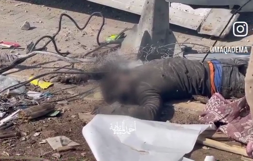 Thumbnail preview image for the video titled: Decomposed bodies found along Salah al-Din Street