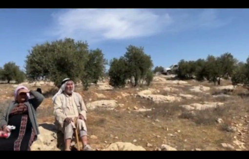 Thumbnail preview image for the video titled: Israeli settlers harass Um Nir farmers during olive harvest