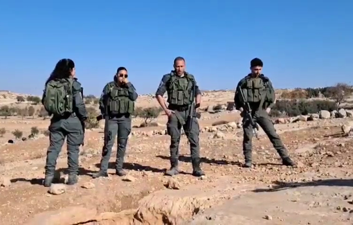 Thumbnail preview image for the video titled: Israeli settlers and soldiers obstruct Susiya olive harvest