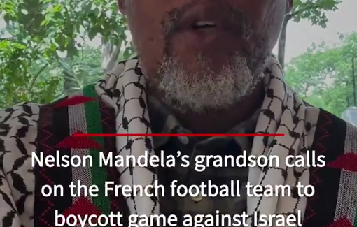 Thumbnail preview image for the video titled: Mandela grand son : don't play with genocide