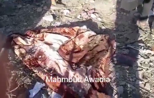 Thumbnail preview image for the video titled: People torn to shreds by Israeli bombing of Ghabayen famile house