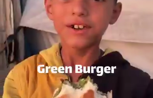 Thumbnail preview image for the video titled: Hamada Shoo cooked Green Burgers for the children in the tent city