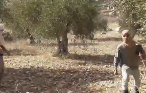 Thumbnail preview image for the video titled: The Israeli Army protects settlers as they assault Palestinian olive harvesters