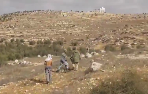 Thumbnail preview image for the video titled: The Israeli Army protects settlers as they assault Palestinian olive harvesters