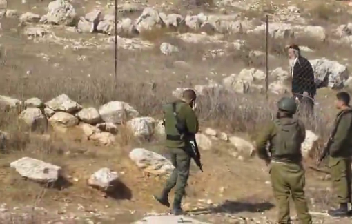 Thumbnail preview image for the video titled: The Israeli Army protects settlers as they assault Palestinian olive harvesters