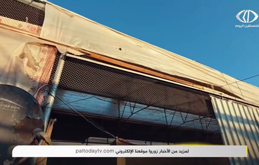 Thumbnail preview image for the video titled: Families forced to live in poultry farm after being displaced form Rafah