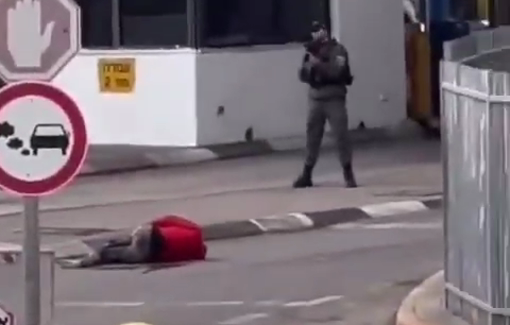 Thumbnail preview image for the video titled: Israeli forces shot a Palestinian youth at the Shufat checkpoint leaving him bleeding