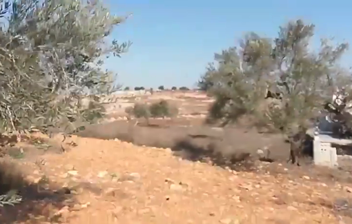 Thumbnail preview image for the video titled: Israeli settlers throwing stones at Palestinians with the accompaniment of a soldier.