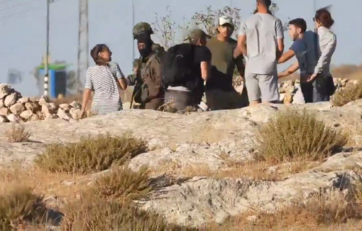 Thumbnail preview image for the video titled: Israeli settlers arrived at the village of Tuwani, uprooted several young fruit trees & attacked activists