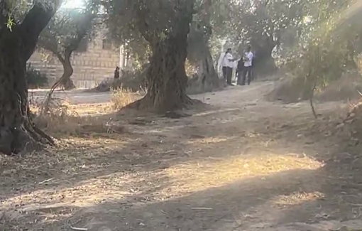 Thumbnail preview image for the video titled: Israeli settlers are attacking Palestinian houses by throwing stones and empty beer bottles