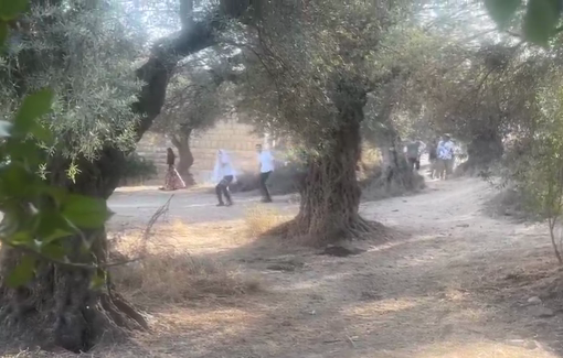 Thumbnail preview image for the video titled: In Hebron, Israeli settlers are attacking Palestinian houses by throwing stones and empty beer bottles.